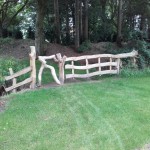 Wringhek Frank Diekman 2